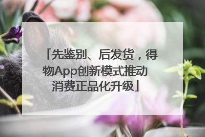 先鉴别、后发货，得物App创新模式推动消费正品化升级