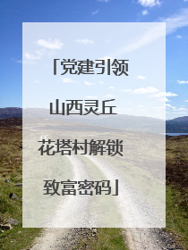 党建引领 山西灵丘花塔村解锁致富密码