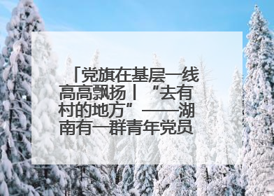 党旗在基层一线高高飘扬丨“去有村的地方”——湖南有一群青年党员这样选择