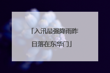 入汛最强降雨昨日落在东华门