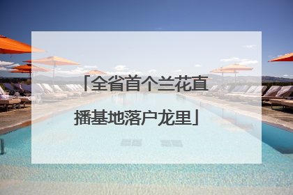 全省首个兰花直播基地落户龙里