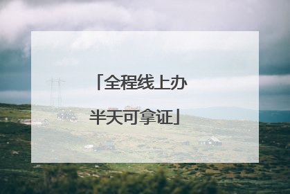 全程线上办 半天可拿证