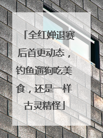 全红婵退赛后首更动态，钓鱼遛狗吃美食，还是一样古灵精怪