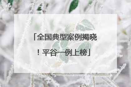 全国典型案例揭晓！平谷一例上榜