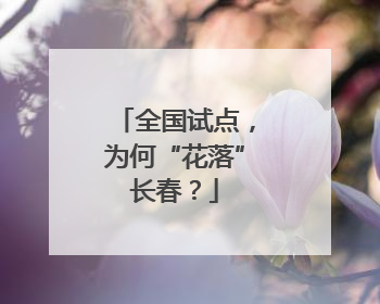 全国试点，为何“花落”长春？