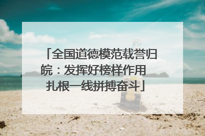 全国道德模范载誉归皖：发挥好榜样作用 扎根一线拼搏奋斗