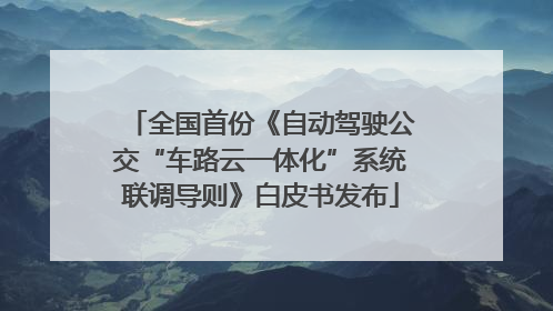 全国首份《自动驾驶公交“车路云一体化”系统联调导则》白皮书发布