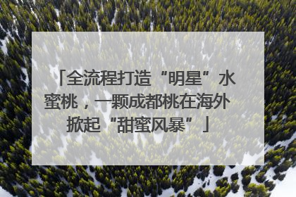 全流程打造“明星”水蜜桃，一颗成都桃在海外掀起“甜蜜风暴”