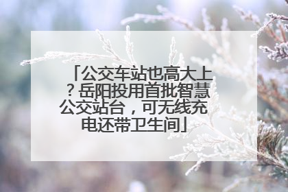公交车站也高大上？岳阳投用首批智慧公交站台，可无线充电还带卫生间
