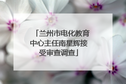 兰州市电化教育中心主任南星辉接受审查调查