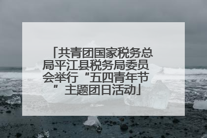 共青团国家税务总局平江县税务局委员会举行“五四青年节”主题团日活动