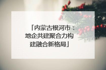 内蒙古根河市：地企共建聚合力构建融合新格局