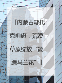 内蒙古鄂托克前旗：荒漠草原绽放“能源马兰花”