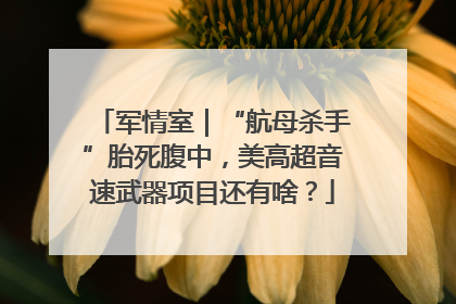 军情室｜“航母杀手”胎死腹中，美高超音速武器项目还有啥？