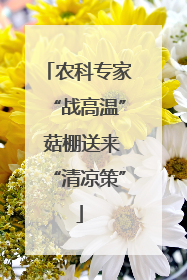 农科专家“战高温” 菇棚送来“清凉策”