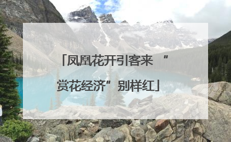 凤凰花开引客来 “赏花经济”别样红