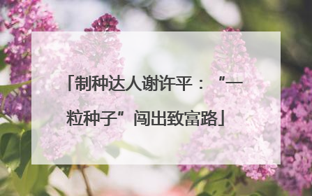 制种达人谢许平：“一粒种子”闯出致富路