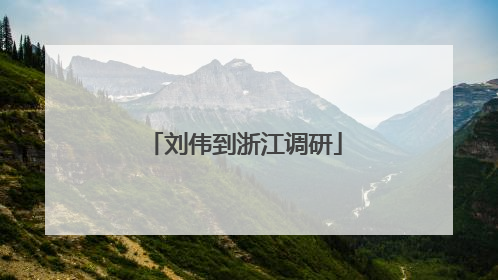 刘伟到浙江调研