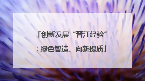 创新发展“晋江经验”：绿色智造、向新提质