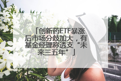 创新药ETF暴涨后市场分歧加大，有基金经理称透支“未来三五年”