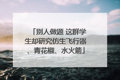 别人做题 这群学生却研究仿生飞行器、青花椒、水火箭