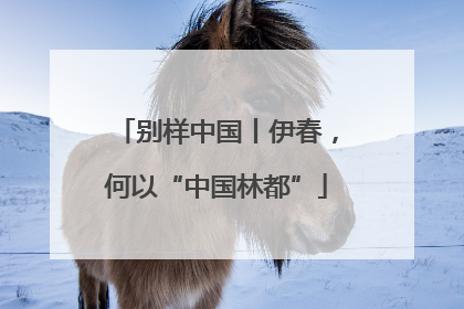 别样中国丨伊春，何以“中国林都”