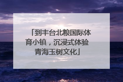 到丰台北粮国际体育小镇，沉浸式体验青海玉树文化