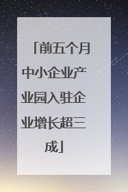 前五个月中小企业产业园入驻企业增长超三成