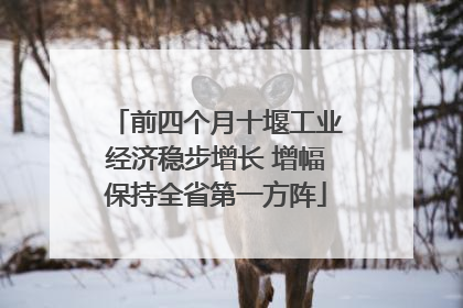 前四个月十堰工业经济稳步增长 增幅保持全省第一方阵