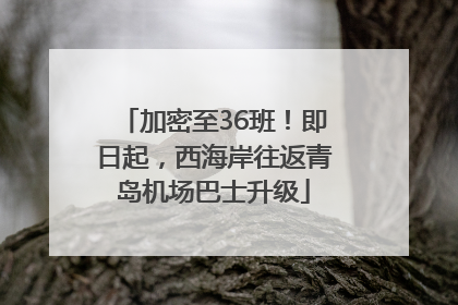 加密至36班！即日起，西海岸往返青岛机场巴士升级