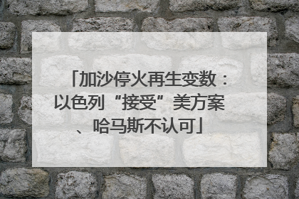 加沙停火再生变数：以色列“接受”美方案、哈马斯不认可