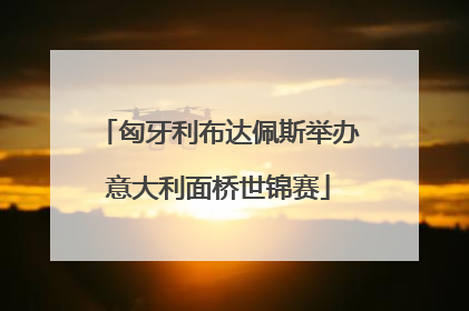 匈牙利布达佩斯举办意大利面桥世锦赛