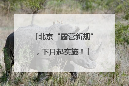 北京“露营新规”，下月起实施！