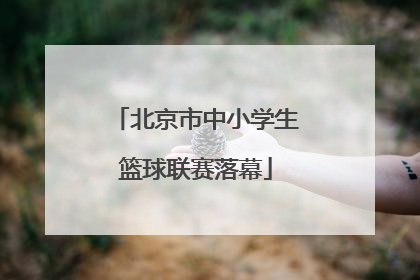 北京市中小学生篮球联赛落幕
