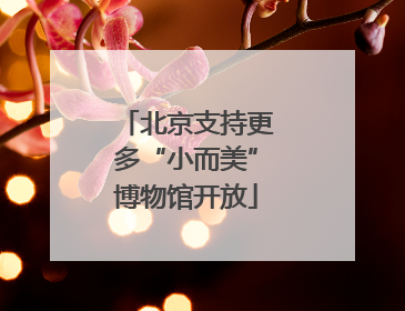 北京支持更多“小而美”博物馆开放