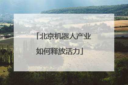 北京机器人产业如何释放活力