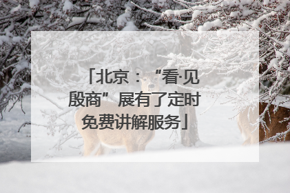 北京：“看·见殷商”展有了定时免费讲解服务