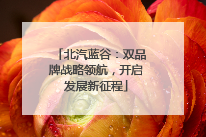 北汽蓝谷：双品牌战略领航，开启发展新征程