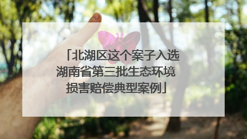 北湖区这个案子入选湖南省第三批生态环境损害赔偿典型案例