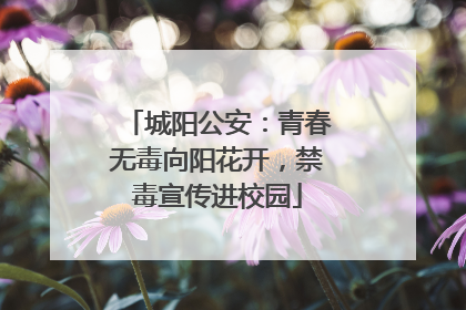城阳公安：青春无毒向阳花开，禁毒宣传进校园