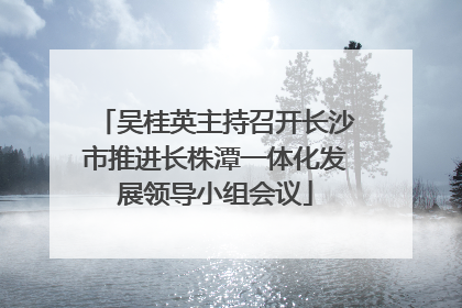 吴桂英主持召开长沙市推进长株潭一体化发展领导小组会议