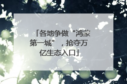 各地争做“鸿蒙第一城”，抢夺万亿生态入口