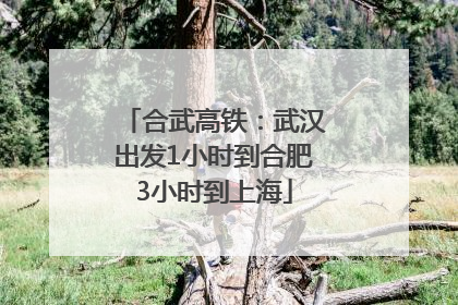 合武高铁：武汉出发1小时到合肥3小时到上海