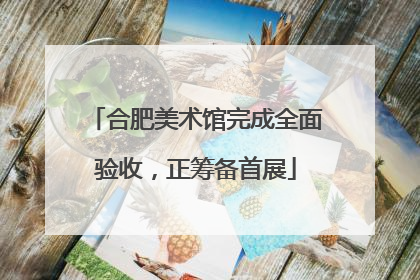 合肥美术馆完成全面验收，正筹备首展