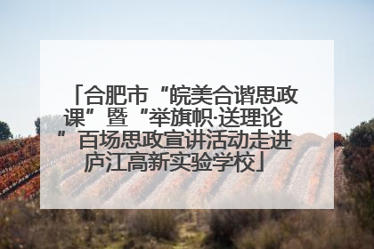 合肥市“皖美合谐思政课”暨“举旗帜·送理论”百场思政宣讲活动走进庐江高新实验学校