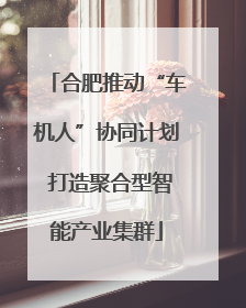 合肥推动“车机人”协同计划 打造聚合型智能产业集群
