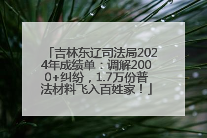 吉林东辽司法局2024年成绩单：调解2000+纠纷，1.7万份普法材料飞入百姓家！