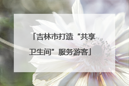 吉林市打造“共享卫生间”服务游客