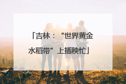 吉林：“世界黄金水稻带”上插秧忙