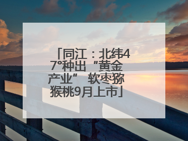 同江：北纬47°种出“黄金产业” 软枣猕猴桃9月上市